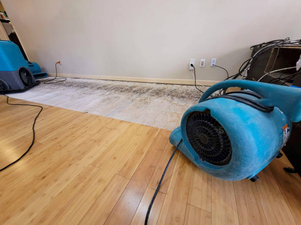 Professional Water Damage Repair technician working in Cedar Grove, IN